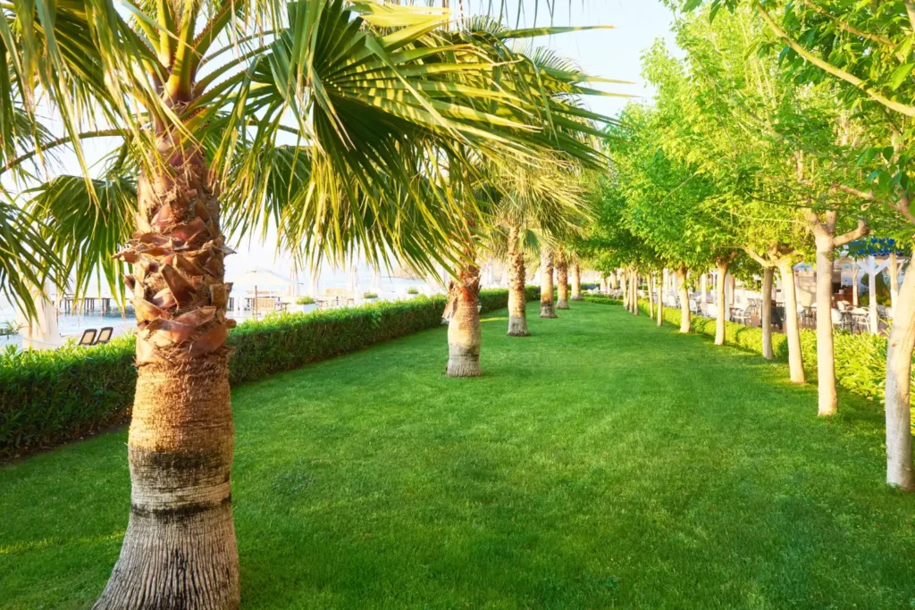 تنسيق حدائق منزلية بالرياض